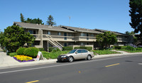 Harvard Studio Apartments in Santa Clara, CA - Building Photo - Building Photo