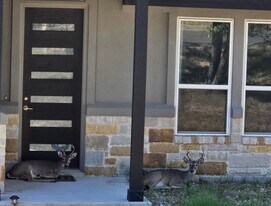 18605 Masters Cv in Leander, TX - Building Photo