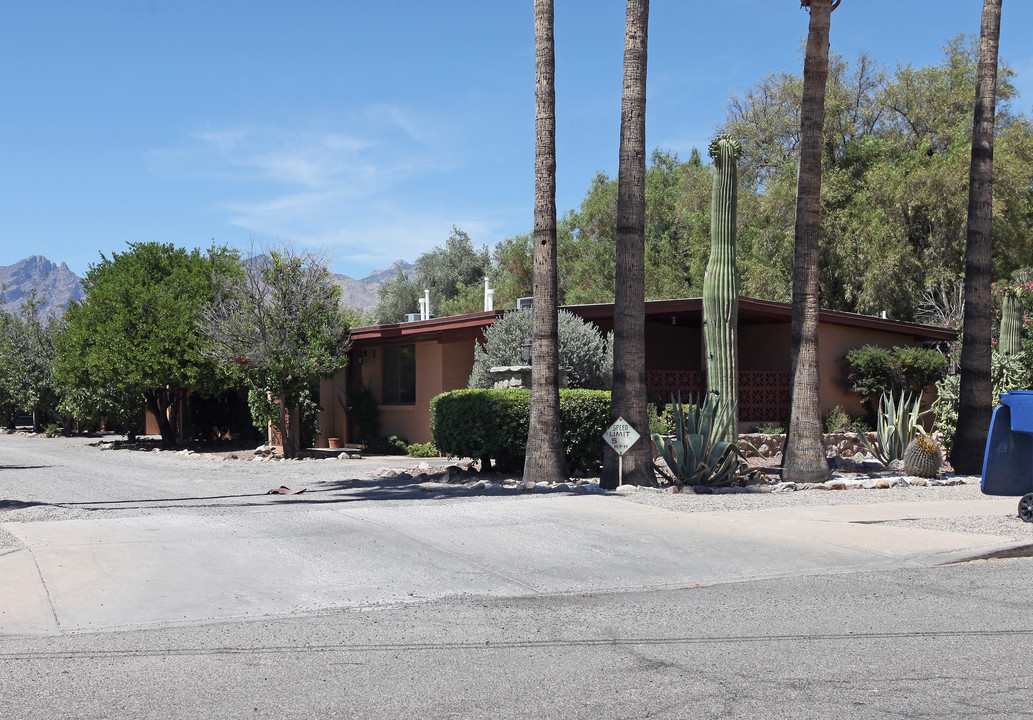 3605-3629 E Bermuda St in Tucson, AZ - Building Photo