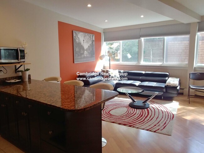 516 Green, Unit 1B in Cambridge, MA - Building Photo - Building Photo