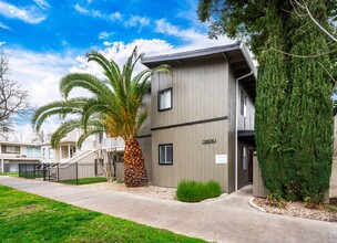 P Street in Sacramento, CA - Building Photo - Building Photo