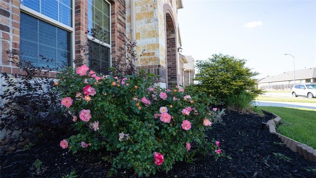 4931 Creekside Hvn Trl in Spring, TX - Building Photo - Building Photo