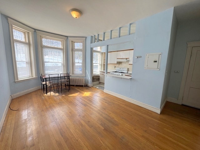 property at 324 Chestnut Hill Ave