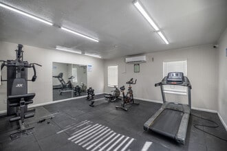 Star Villa Ana in Houston, TX - Building Photo - Interior Photo