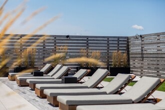 Canfield Park in Bridgeport, CT - Foto de edificio - Building Photo