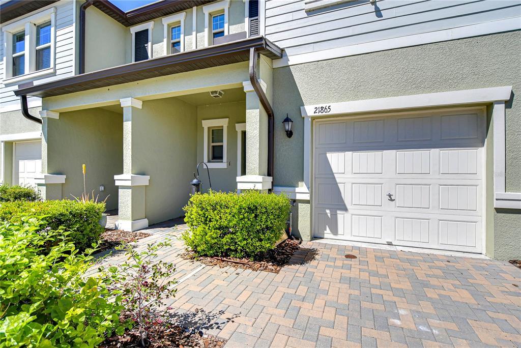 21865 Adriatic Ln in Land O Lakes, FL - Building Photo