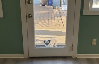 536 Arlington St in San Francisco, CA - Building Photo