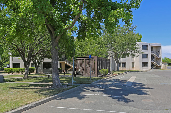 The Village in Mcclellan, CA - Foto de edificio - Building Photo