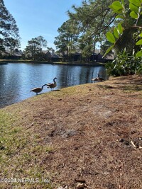 109 Cranes Lake Dr in Ponte Vedra Beach, FL - Foto de edificio - Building Photo