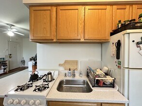 4532 N Ashland Ave, Unit J01P in Chicago, IL - Building Photo - Building Photo