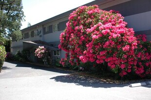 2555 Sir Francis Drake Blvd, Unit 22 in Fairfax, CA - Foto de edificio - Building Photo