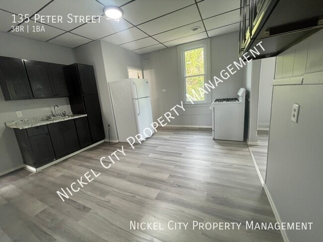 135 Peter St in Buffalo, NY - Building Photo - Building Photo