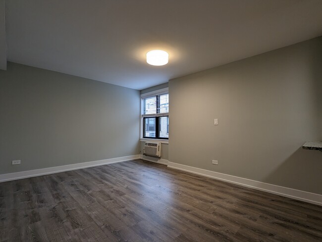 456 W Barry Ave, Unit 523 in Chicago, IL - Building Photo - Building Photo