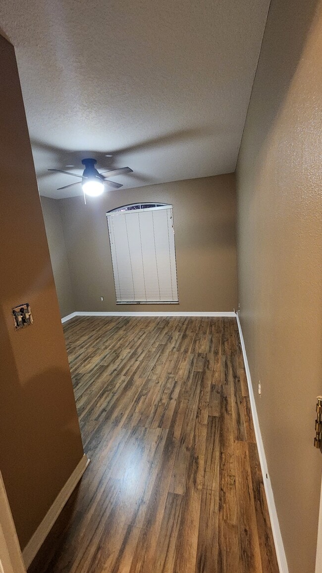 293 Aristotle St in Dunedin, FL - Building Photo - Building Photo