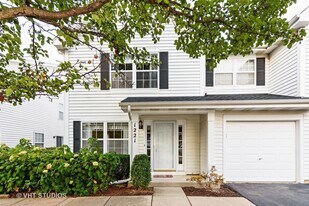 1221 Orleans Dr in Mundelein, IL - Building Photo