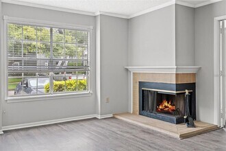 11811 Skylake Pl in Tampa, FL - Building Photo - Building Photo