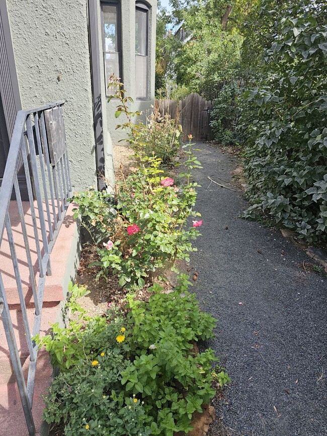 605 N Cascade Ave in Colorado Springs, CO - Building Photo - Building Photo