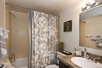 Willow Brooke Apartments in Tampa, FL - Foto de edificio - Interior Photo