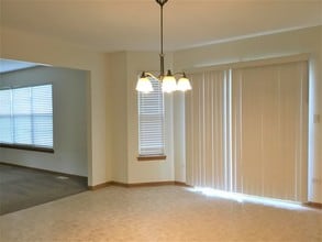 16200 Carlow Cir in Manhattan, IL - Building Photo - Building Photo