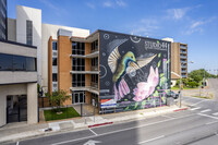 Studio 44 Apartments in Corpus Christi, TX - Foto de edificio - Building Photo