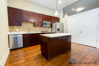 RavenLux Apartments in Chicago, IL - Building Photo - Building Photo