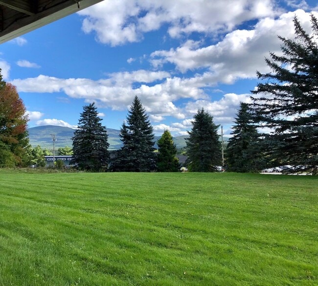 property at 1125 Main St