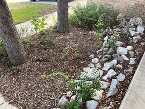 8011 Rio NIEBLA in San Antonio, TX - Building Photo - Building Photo