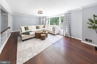 4333 Cedarlake Ct in Alexandria, VA - Building Photo