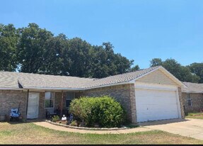 214 Bobbie Ann Ct in Granbury, TX - Building Photo