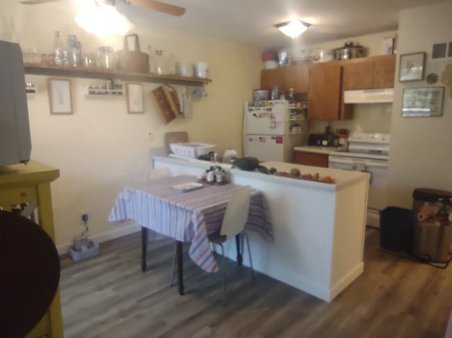403 East Bluff, Unit 403 East Bluff
