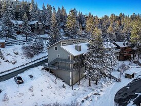 360 Galaxy Ln in Stateline, NV - Building Photo