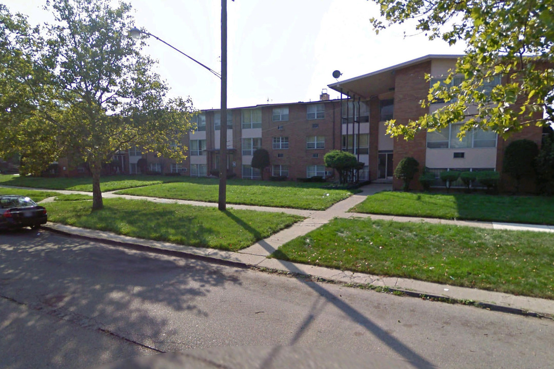 Frankfort Street Apartments in Detroit, MI - Building Photo