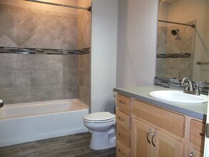 4642 Hahns Peak Dr in Loveland, CO - Building Photo - Building Photo