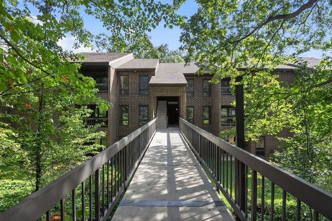 property at 23252 Chestnut Oak Ct