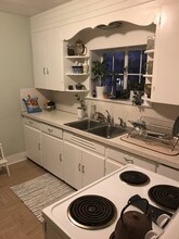 305 Potter Ave in Ann Arbor, MI - Building Photo - Building Photo