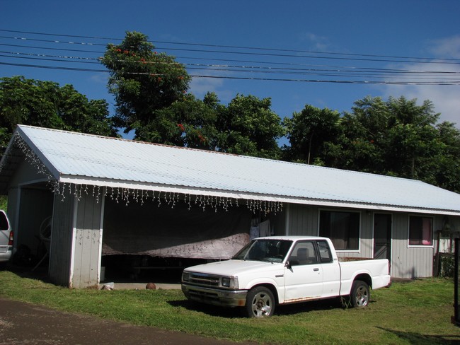 53 Akekeke St in Hilo, HI - Building Photo - Building Photo