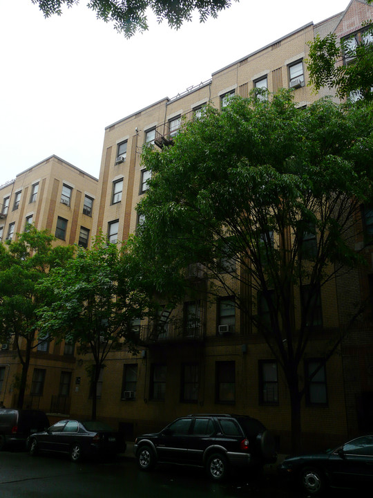 3530 Dekalb Ave in Bronx, NY - Foto de edificio