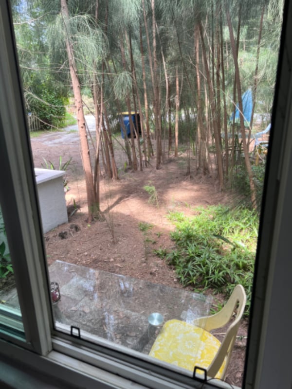 1516 Carmel Ave in Clearwater, FL - Building Photo - Building Photo