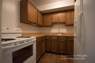 3100 N Lake Shore Dr-Unit -510 in Chicago, IL - Building Photo - Building Photo