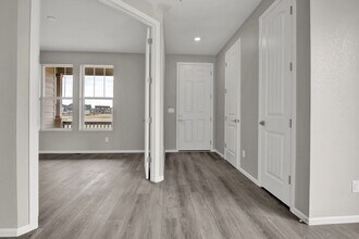 1237 Shale Way in Erie, CO - Building Photo - Building Photo