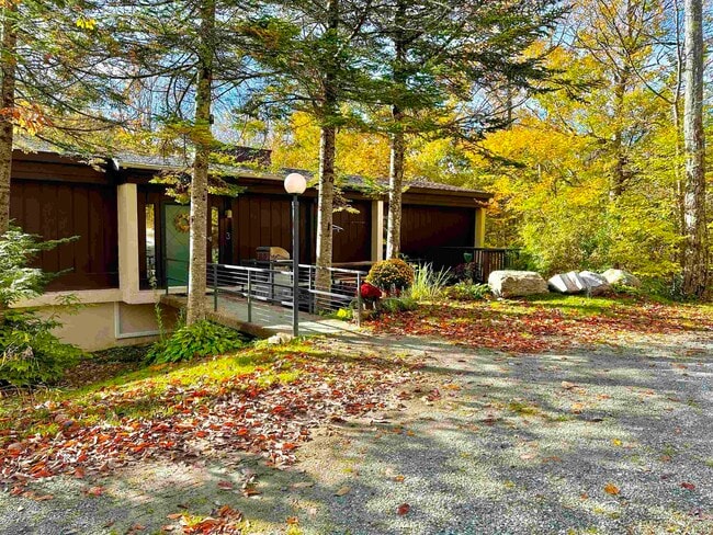 3 Bromley Forest Rd in Winhall, VT - Building Photo - Building Photo