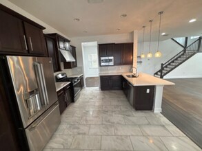 2684 Tarragona Wy in Wesley Chapel, FL - Building Photo - Building Photo