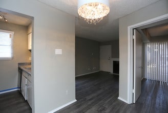 Blue Springs Apartments in Dallas, TX - Foto de edificio - Interior Photo