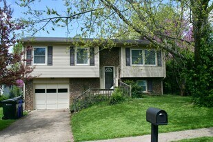 2933 Tuscaloosa Ln in Lexington, KY - Building Photo