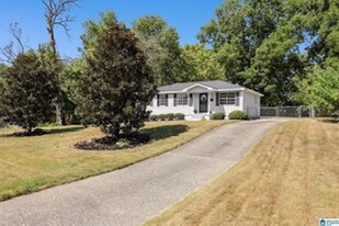 916 Avenue E in Birmingham, AL - Building Photo