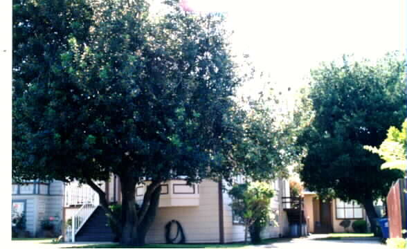 1539 9th St in Alameda, CA - Foto de edificio - Building Photo