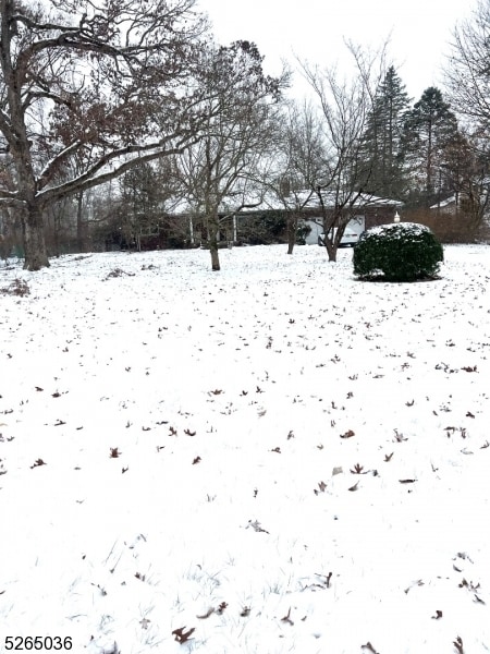 19 Lavina Terrace in Wayne, NJ - Building Photo - Building Photo