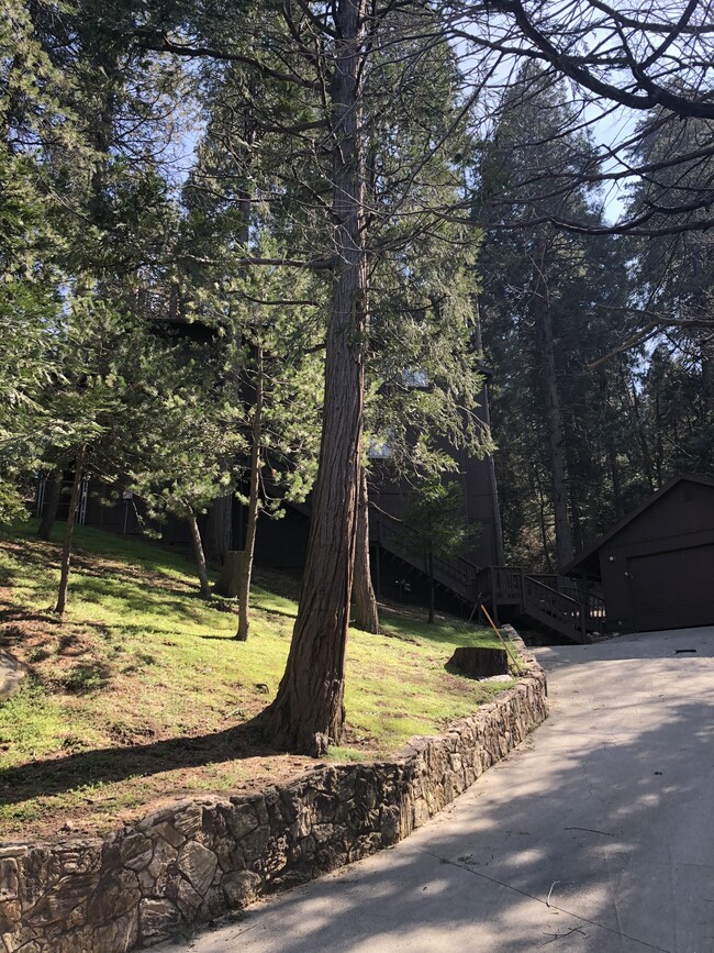 24543 Albrun Dr in Crestline, CA - Building Photo - Building Photo