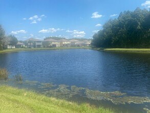 3004 Downan Point Dr in Land O Lakes, FL - Building Photo - Building Photo