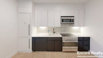 50 Leo M Birmingham Pkwy in Boston, MA - Building Photo